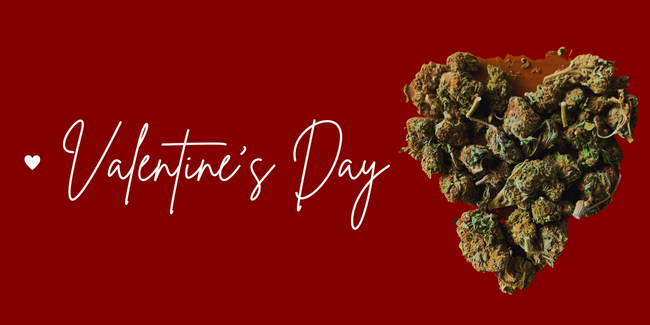 Introducing CBD into your Valentine's Day