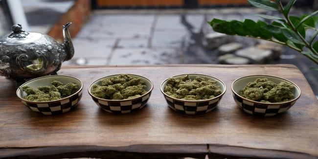 Hemp vs. Marijuana