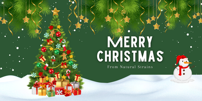 Christmas Holiday's Opening Times