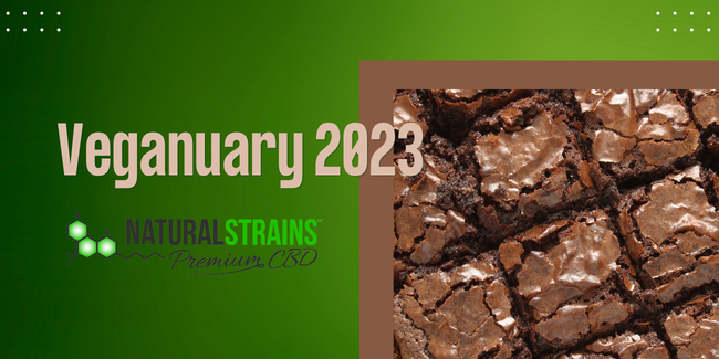 Veganuary 2023- plant based CBD brownie recipe