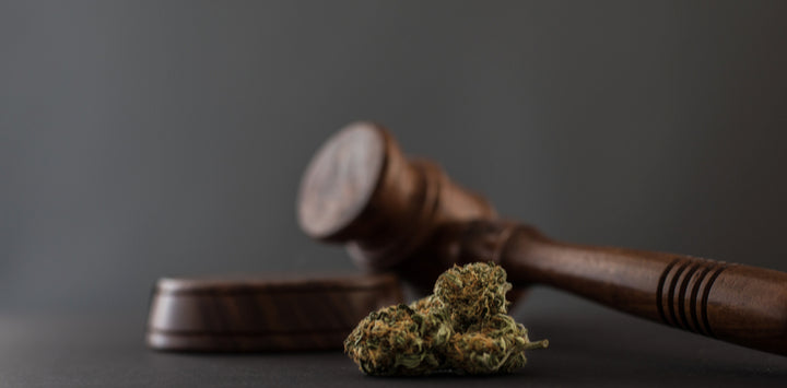 Is CBD Legal in the UK?