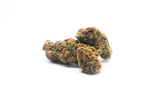 Girl Scout Cookies  - Hemp Tea Flowers 20.8% CBD